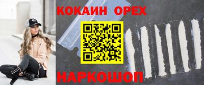 крисы Абакан