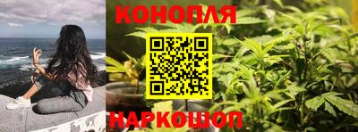 стафф Балашиха