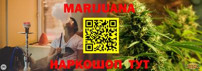 крисы Абакан