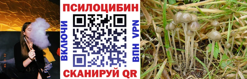 Галлюциногенные грибы мухоморы  Кандалакша 