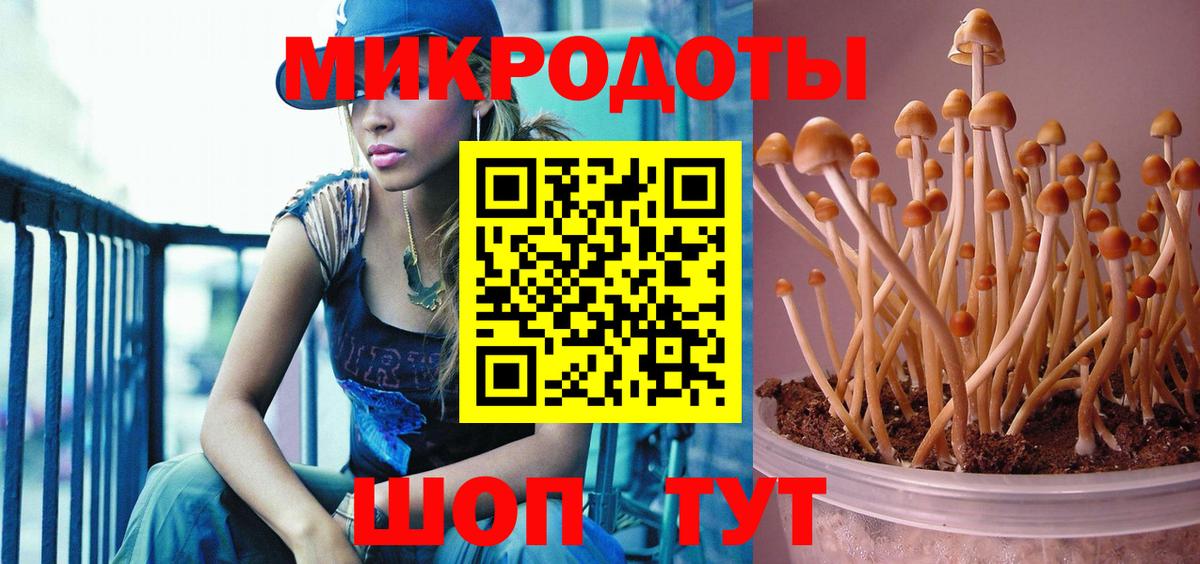 Галлюциногенные грибы Cubensis  Вход с VPN  Кандалакша  Галлюциногенные грибы Psilocybine cubensis 