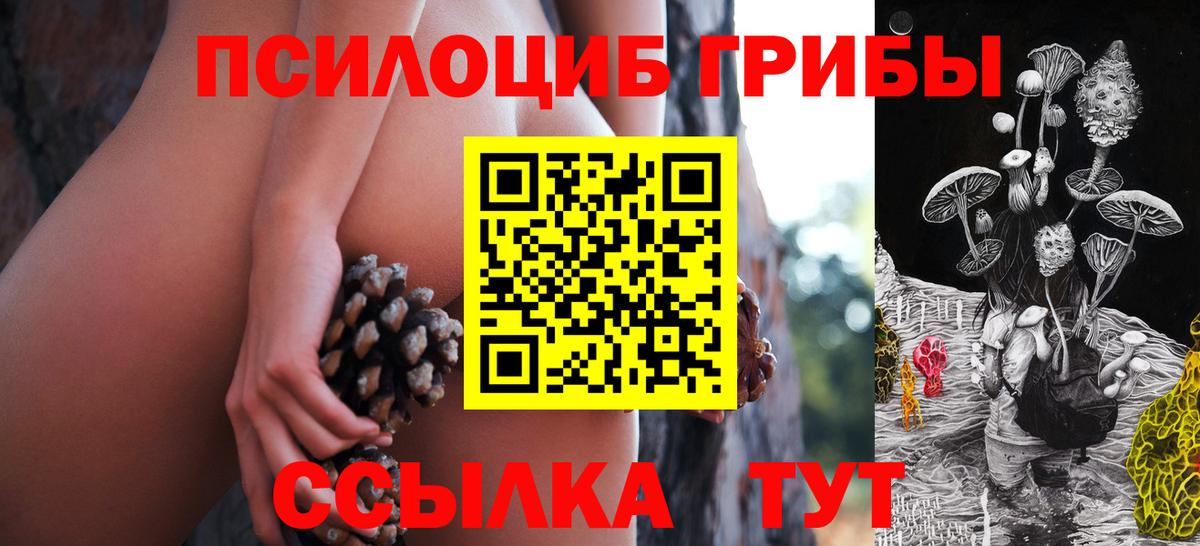 Галлюциногенные грибы мухоморы Кандалакша